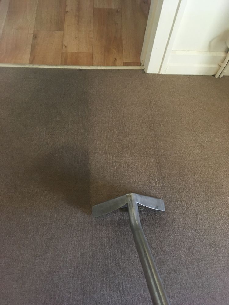 Carpet Being Cleaned; a Half-cleaned Section — Chemdry D & K in Torquay, VIC