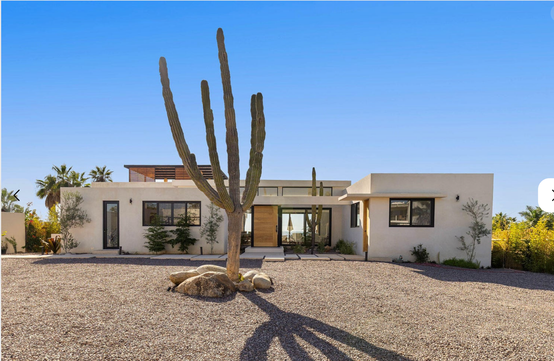 Casa blanca de estilo desértico con un gran cactus en el jardín delantero bajo un cielo azul despejado.