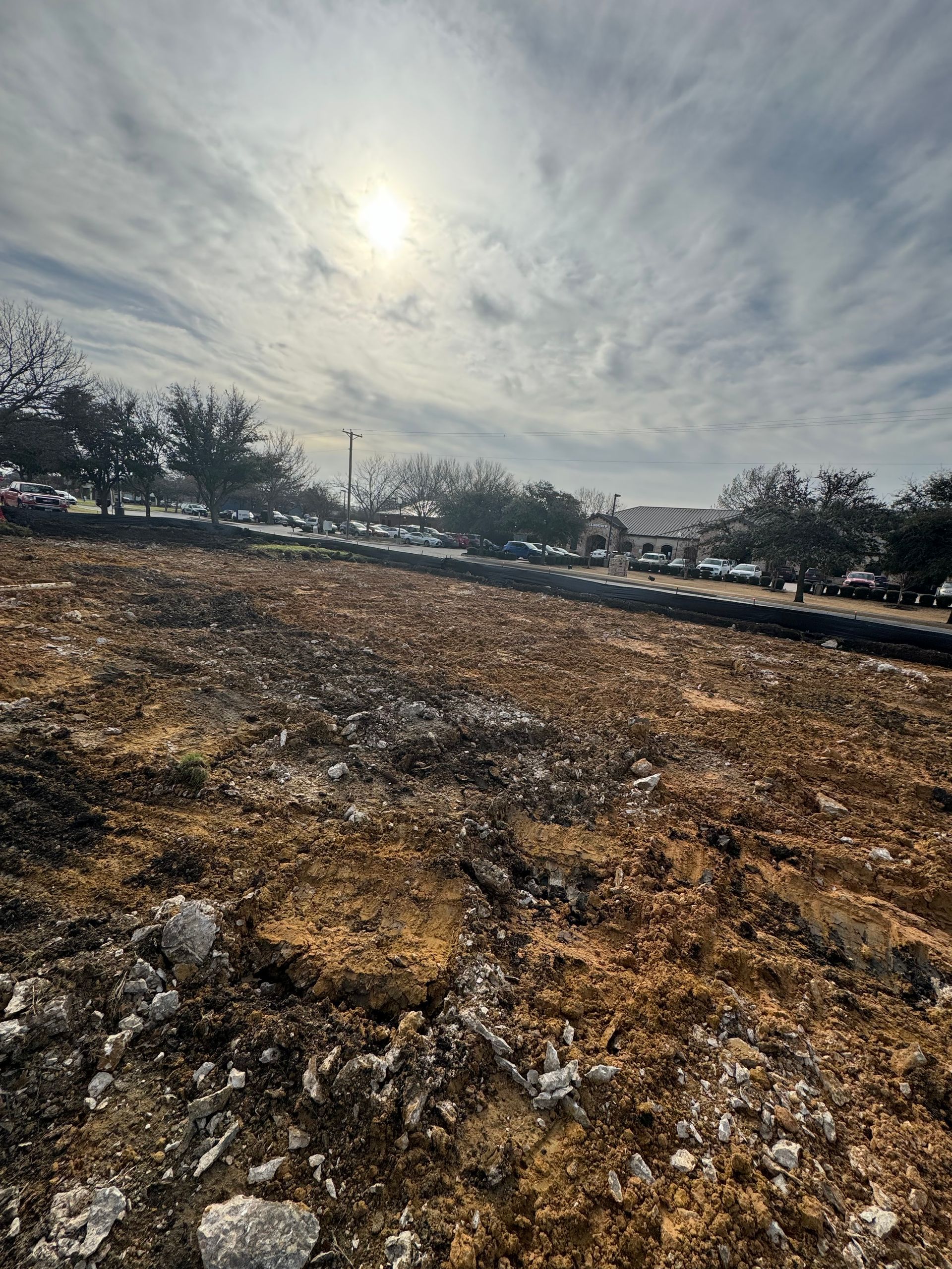 Burned field under a cloudy sky with trees and buildings in the background.
