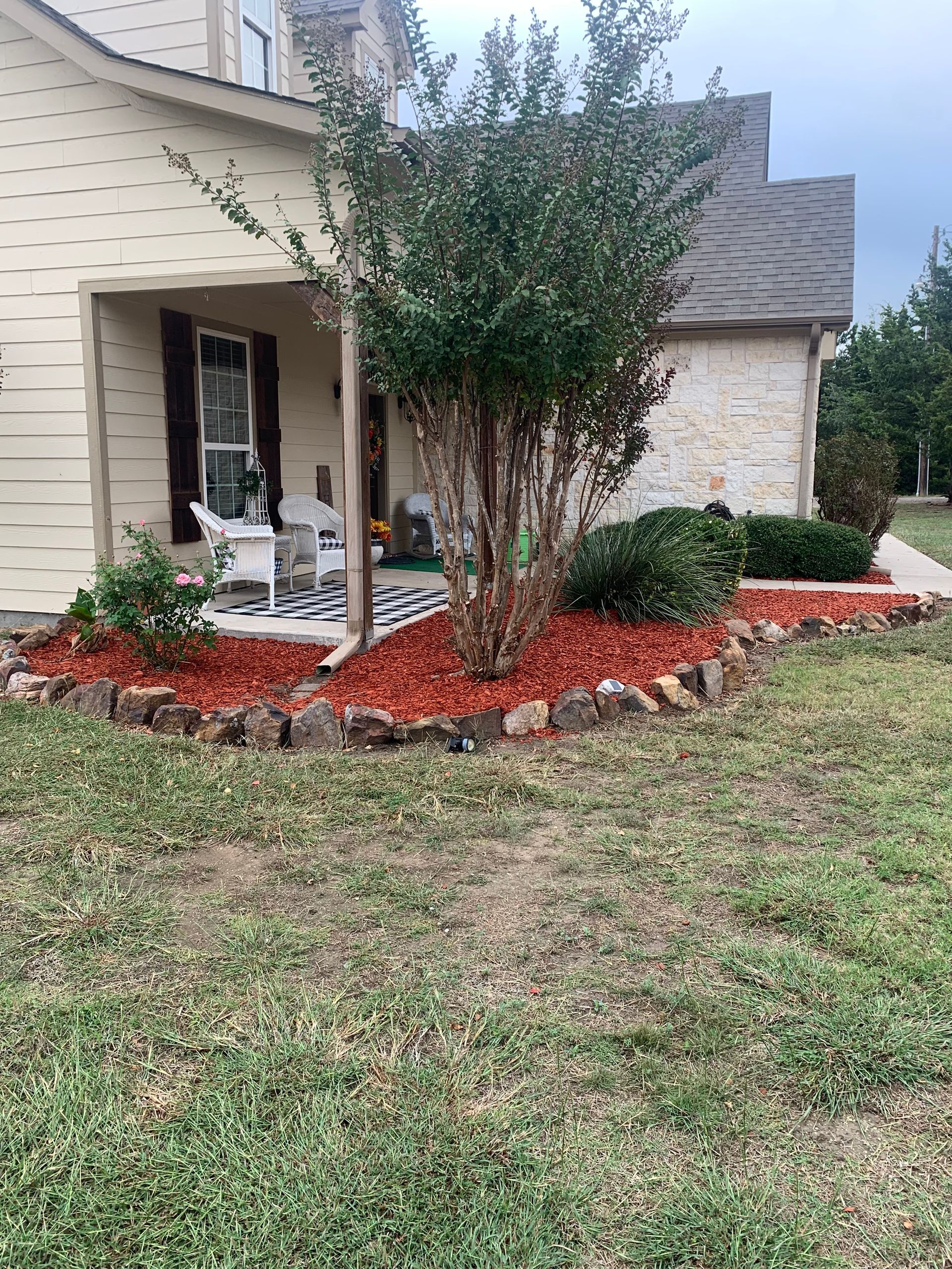 After tree trimming