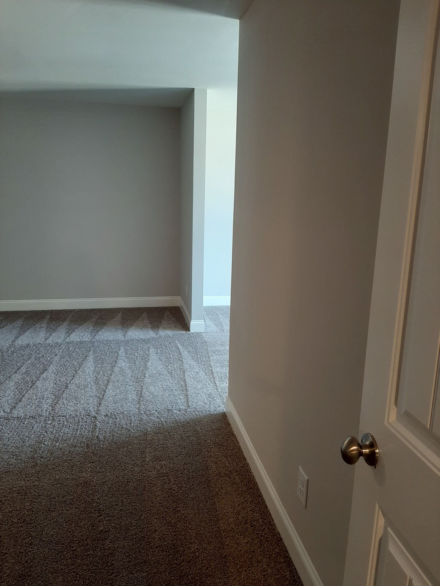 A hallway in a house with a door and a carpeted floor.