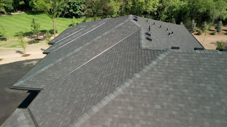 Dark gray shingled roof with skylights, viewed from above amid green trees