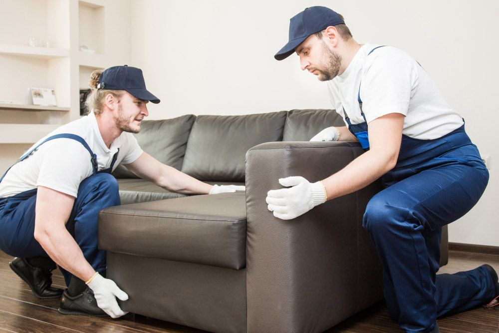 Two Workers Moving a Couch — Lite Moves Furniture Removals In Coffs Harbour, NSW