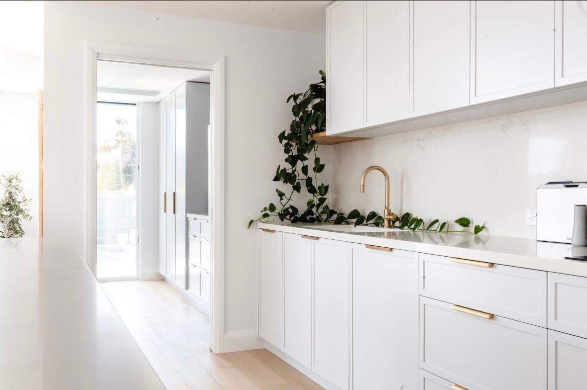 White kitchen with cabinets, sink, and gold faucet, with plant — PK4 Projects in Port Macquarie, NSW 