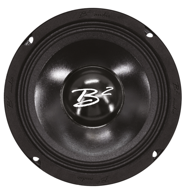 B2 riot 6PWR midrange speaker.