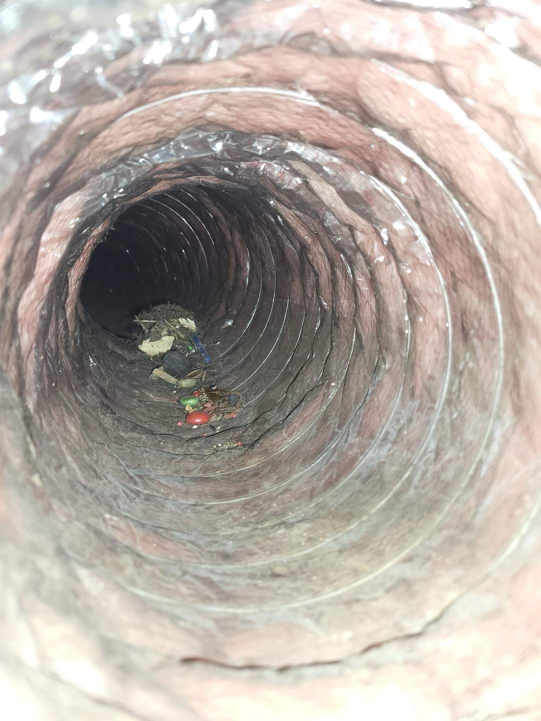 Inside a rough concrete pipe or tunnel, with dark debris visible near the far end