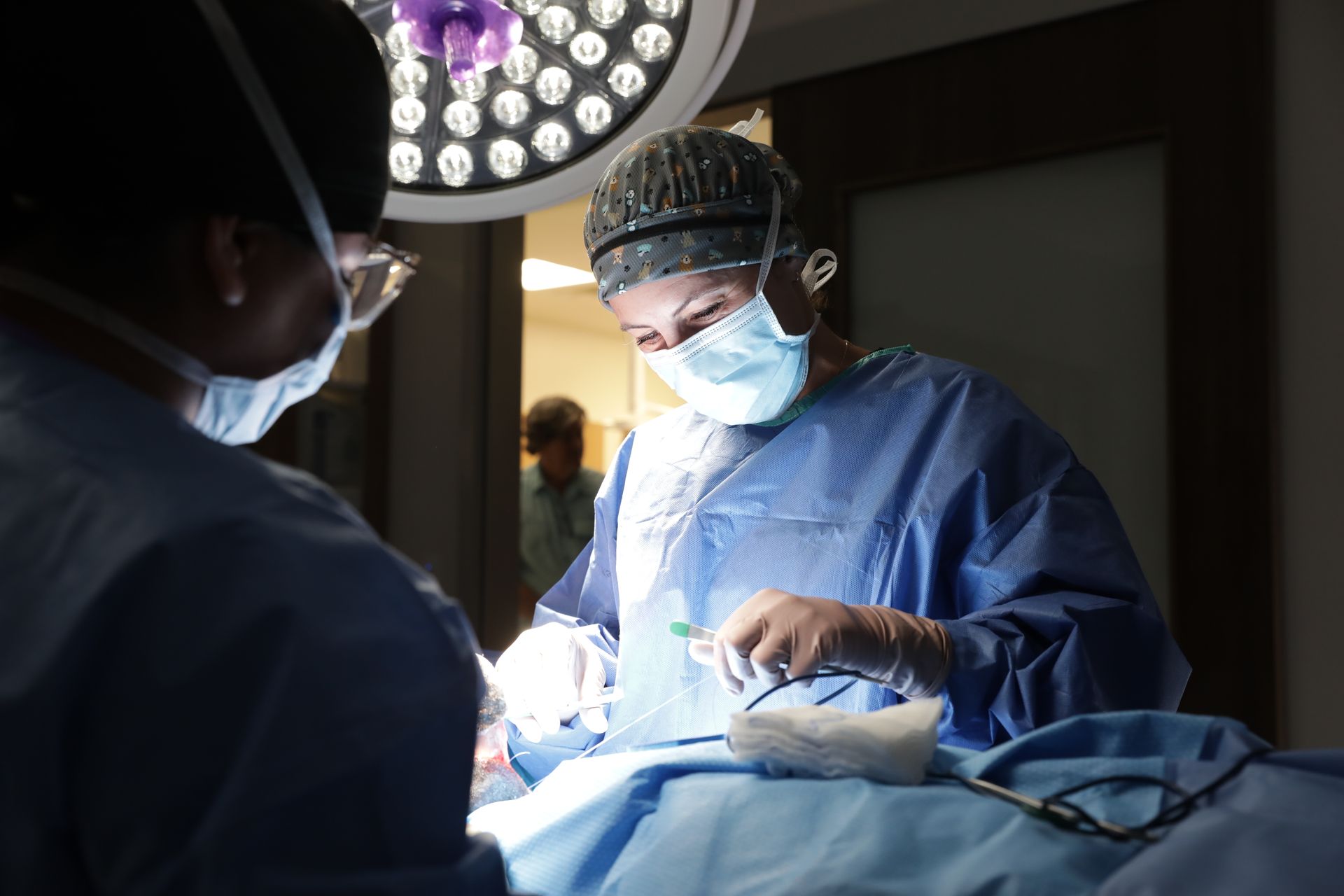 expert veterinary surgeons skilled in various surgeries, from orthopedic to oncology. 24/7 Emergency Care, ER