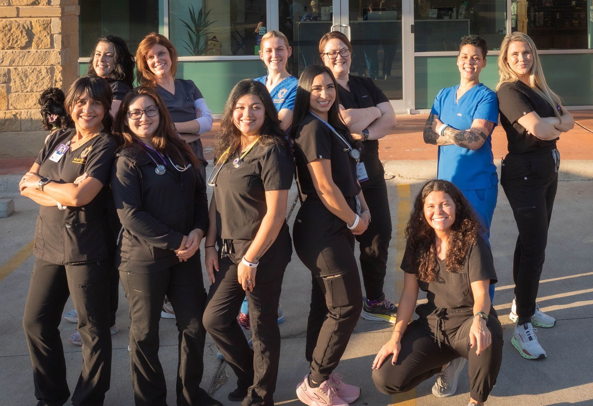 Violet Crown Critical Care Team, ER, Emergency Vet, serving Lick Creek Ranch, Pale Face Homesteads, Briar Cliff.