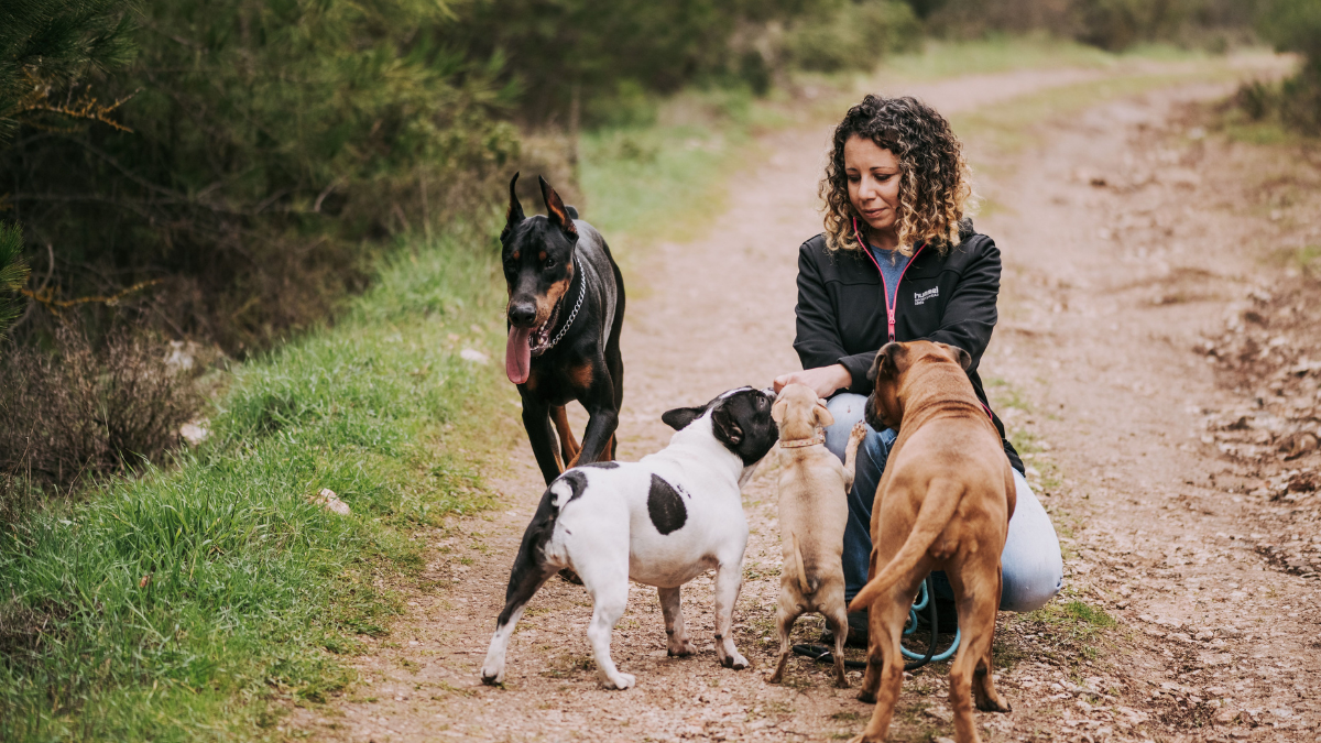 Woman kneels on a dirt path with three dogs gathered around her in a wooded area.