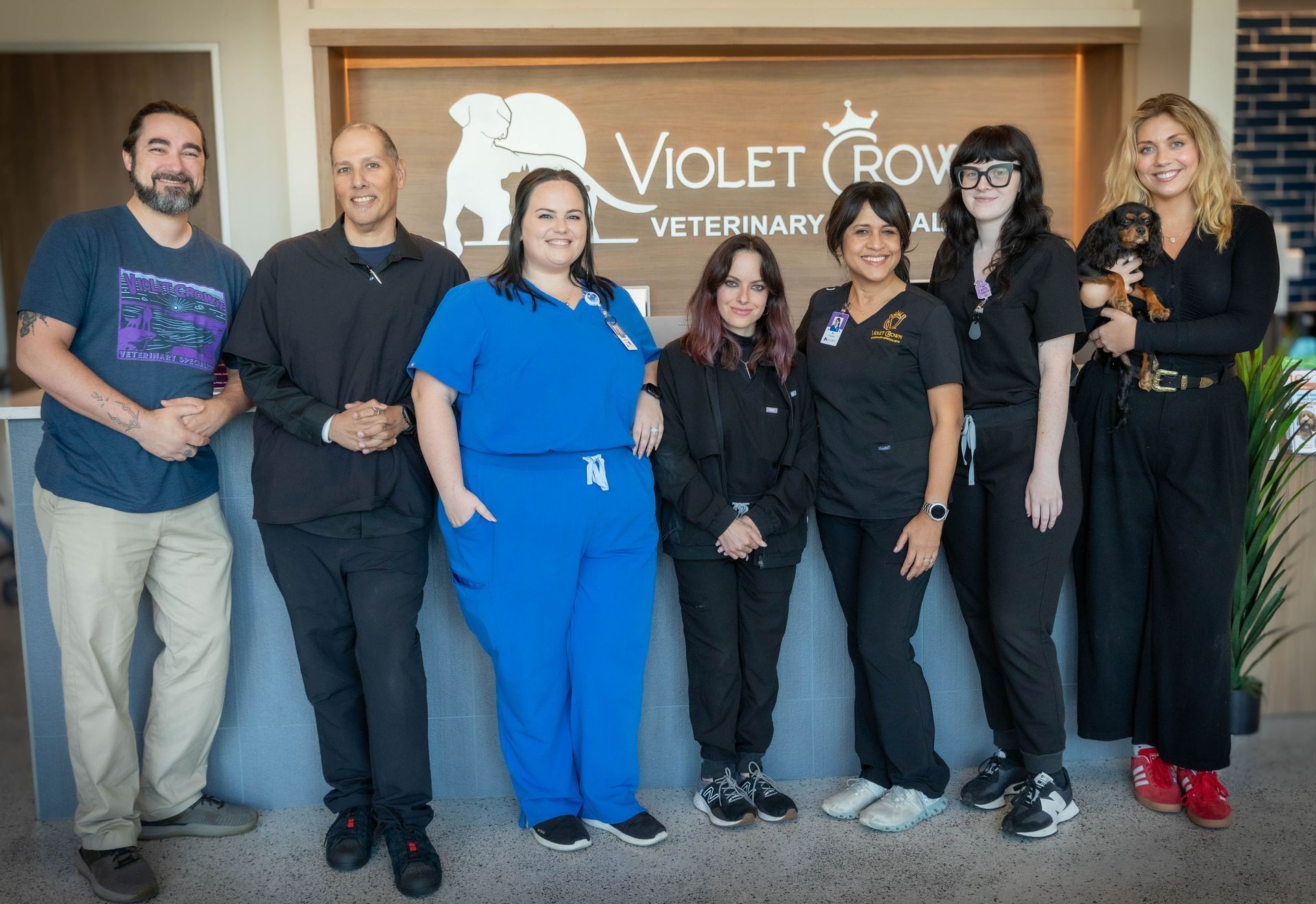 Violet Crown Care Specialists, in the Animal Hopital Emergency Vet.