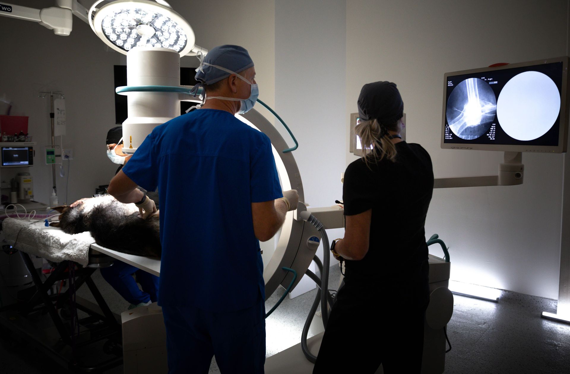 Advanced Veterinary Diagnostic Imaging at Violet Crown, Bee Cave Texas  with 24/7 Emergrency Vet, Emergency Room and ER