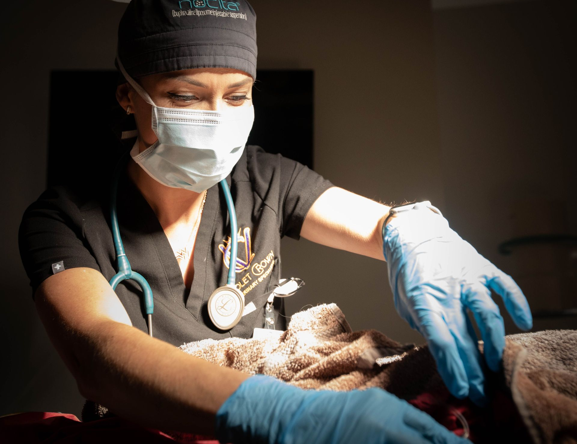 Veterinarian in scrubs and mask gently examines a small dog under bright light.