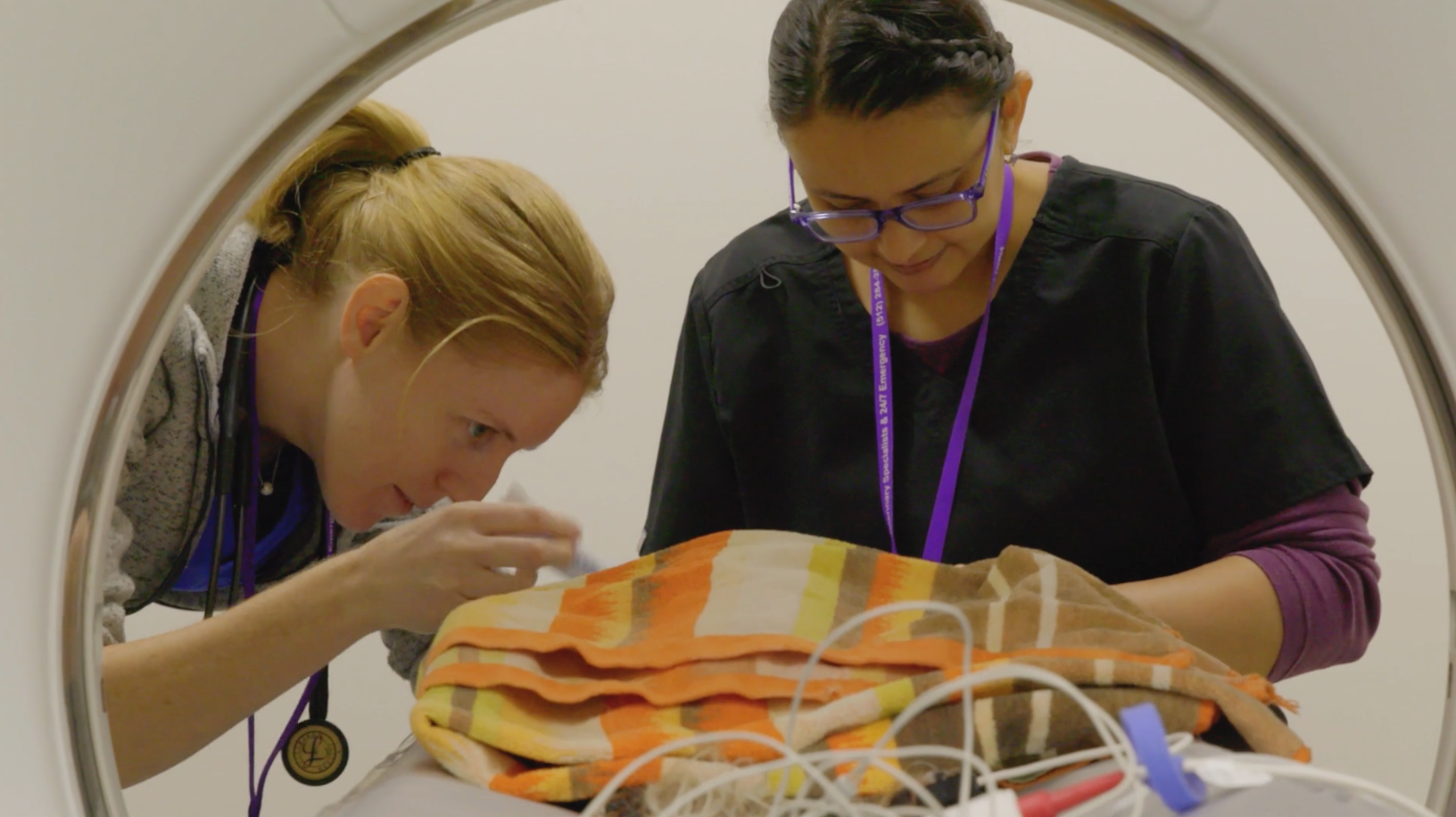 Diagnostic Imaging CT or Cat Scan to diagnose a rare form of cancer in our veterinary onocology department. ER Bee Cave Texas