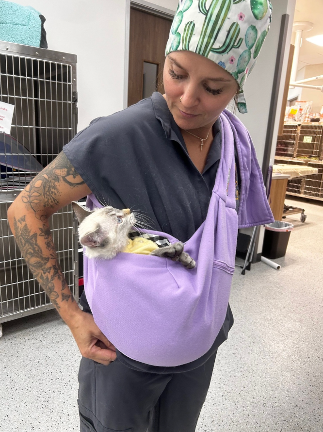 Woman holding a small dog in a purple sling bag indoors
