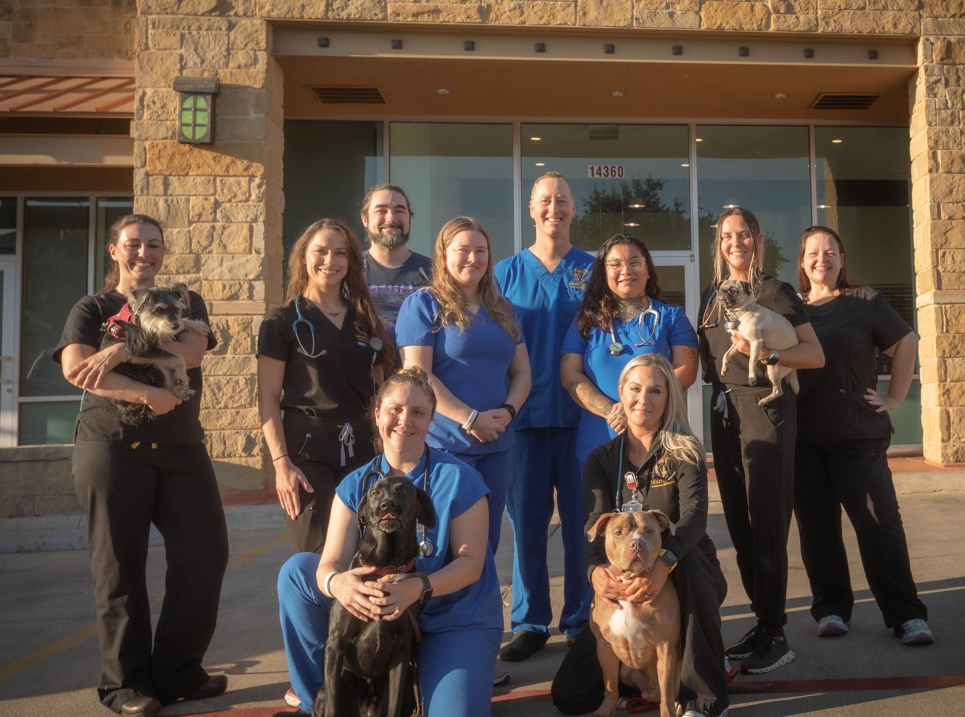 Austin's top Oncology Veterinary Department. Serving Lost Creek, Austin Lake Estates, Destiny Hills, Lago Vista, Serene Hills