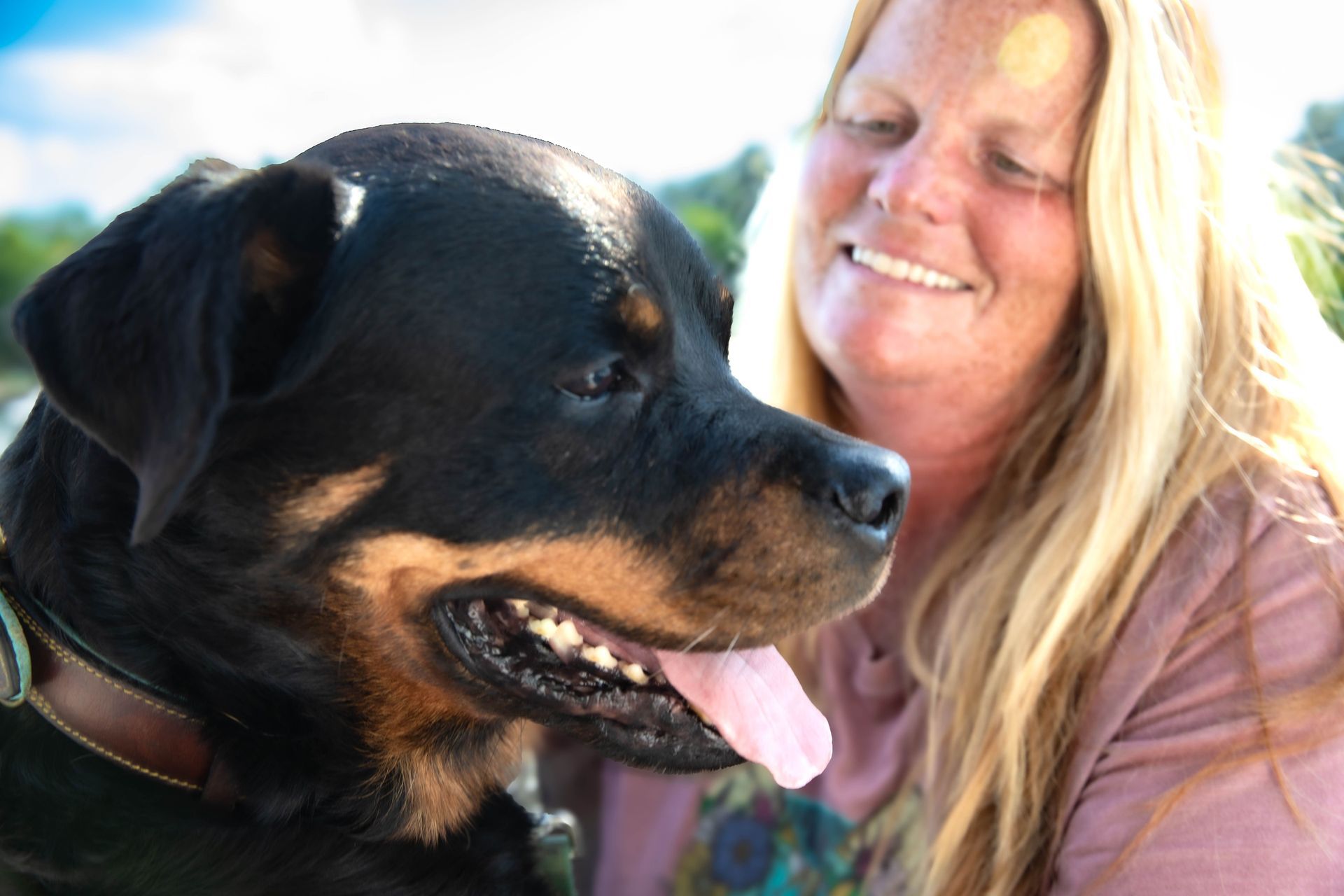 Black-and-tan dog panting beside a smiling woman outdoors in bright sunlight