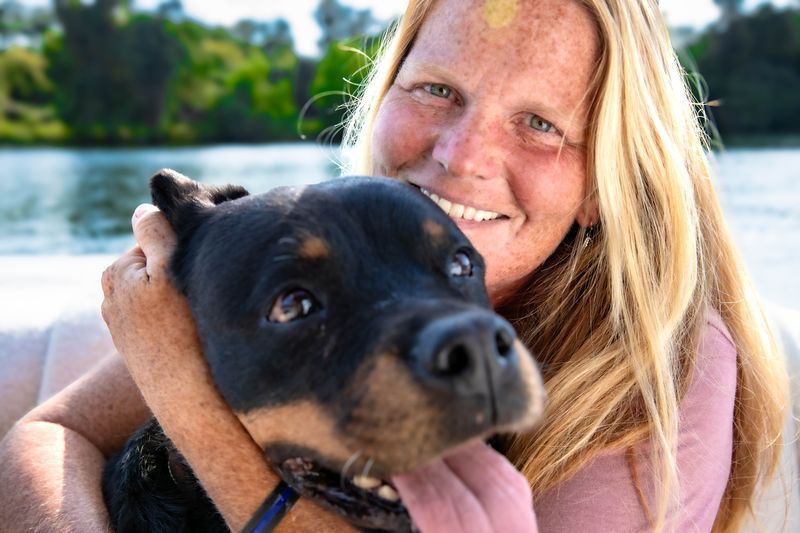 Animal Emergency Care Patient Ekho