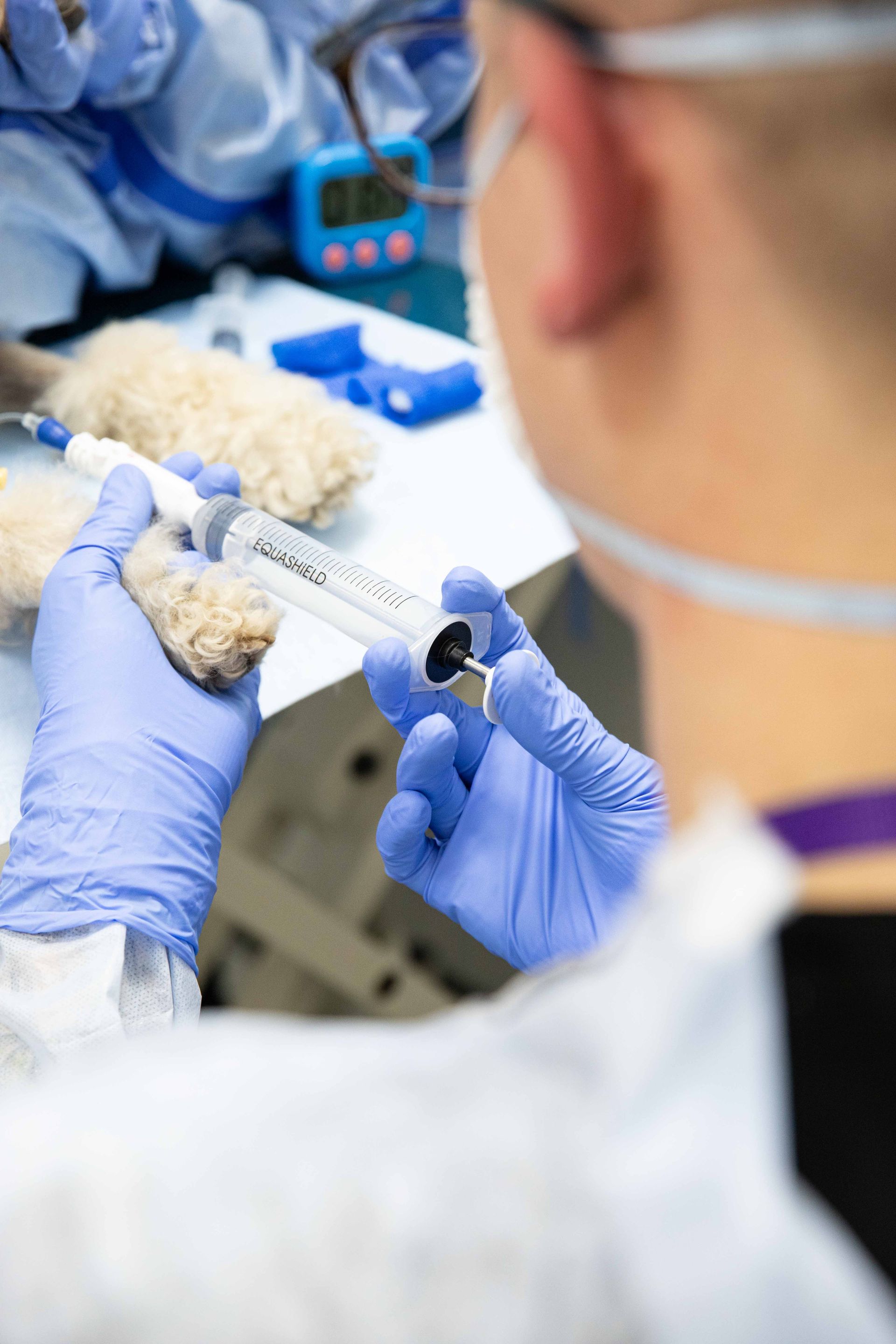 Gloved clinician loading a syringe with white material in a lab setting