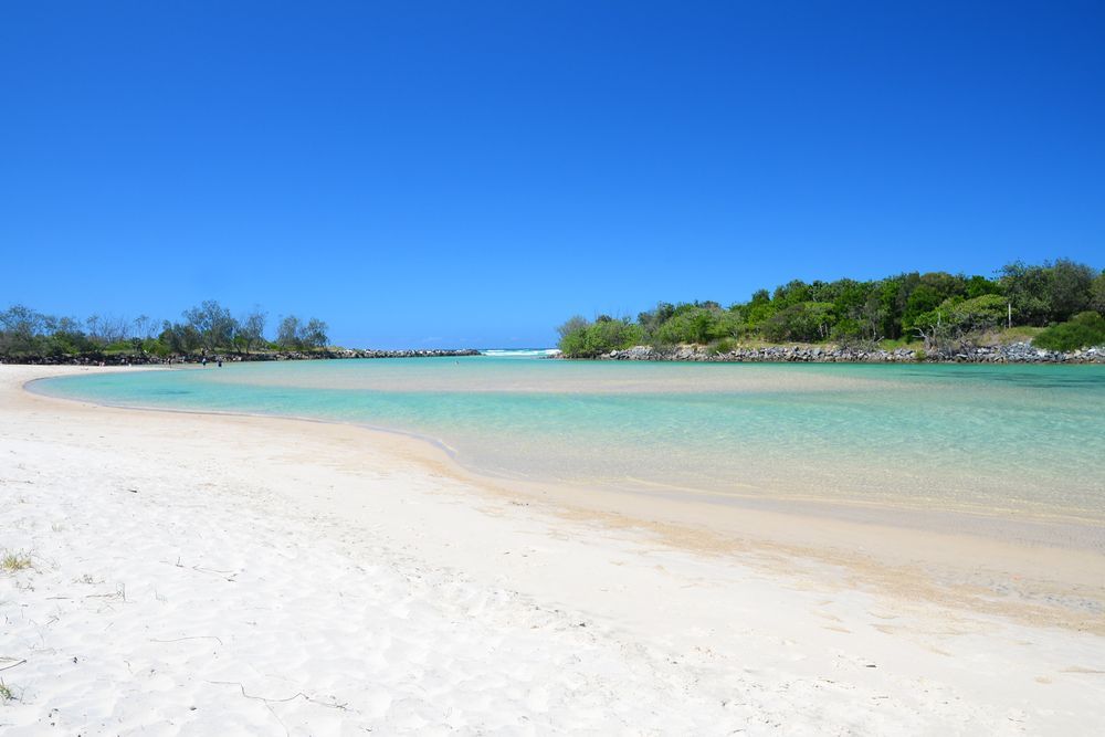 A Beach With A Body Of Water And Trees In The Background — Sampson Plumbing Pty Ltd In Pottsville, NSW