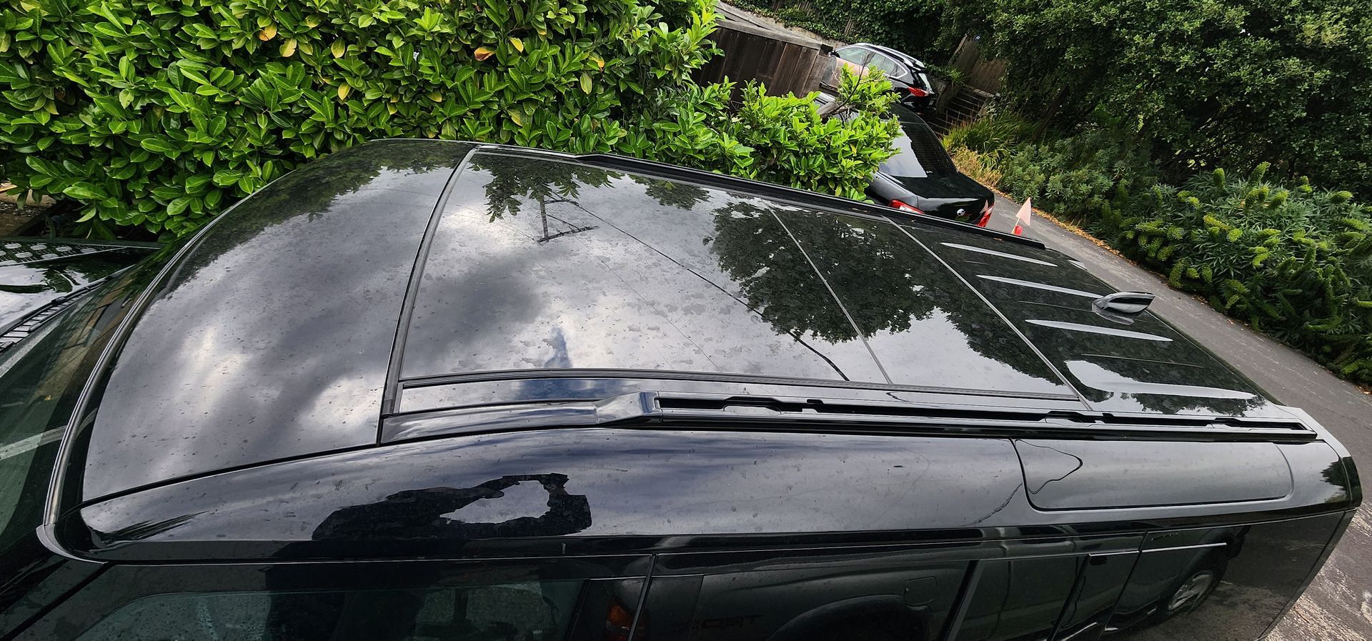 Black car roof with reflective sunroof panels and water droplets, viewed from above amid greenery