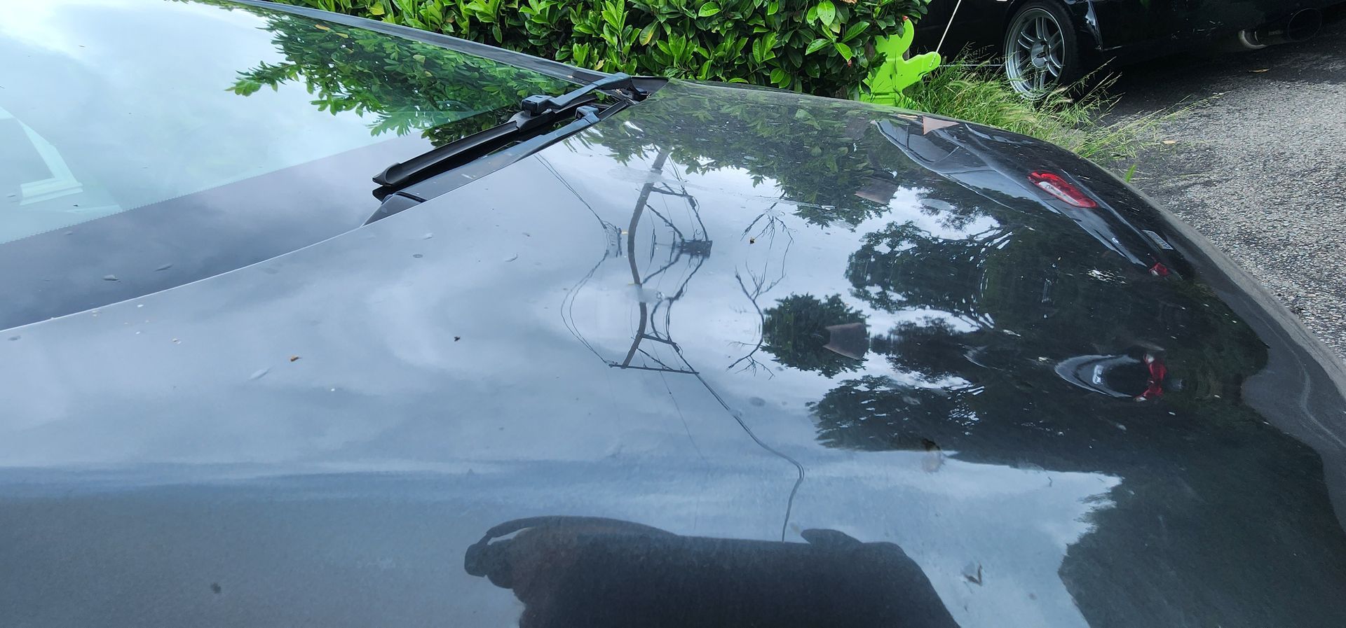 Cracked black car hood with water droplets, reflecting trees and sky near a roadside