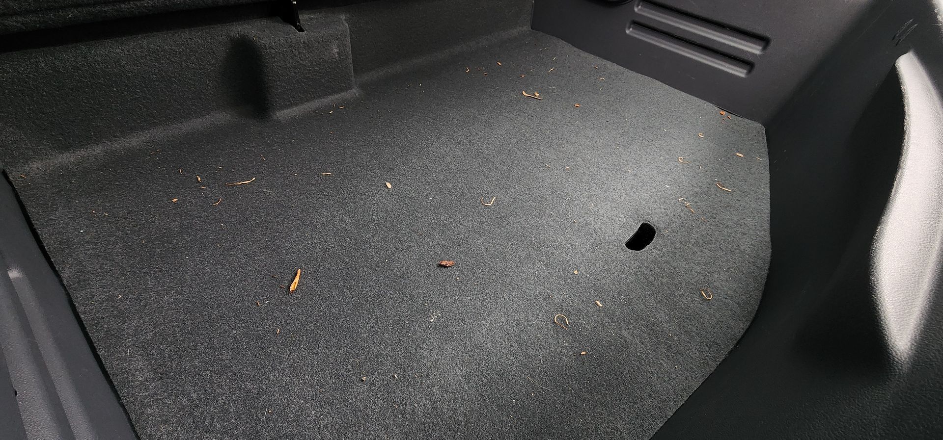 Carpeted car trunk interior with a few small crumbs and a black circular hole on the floor