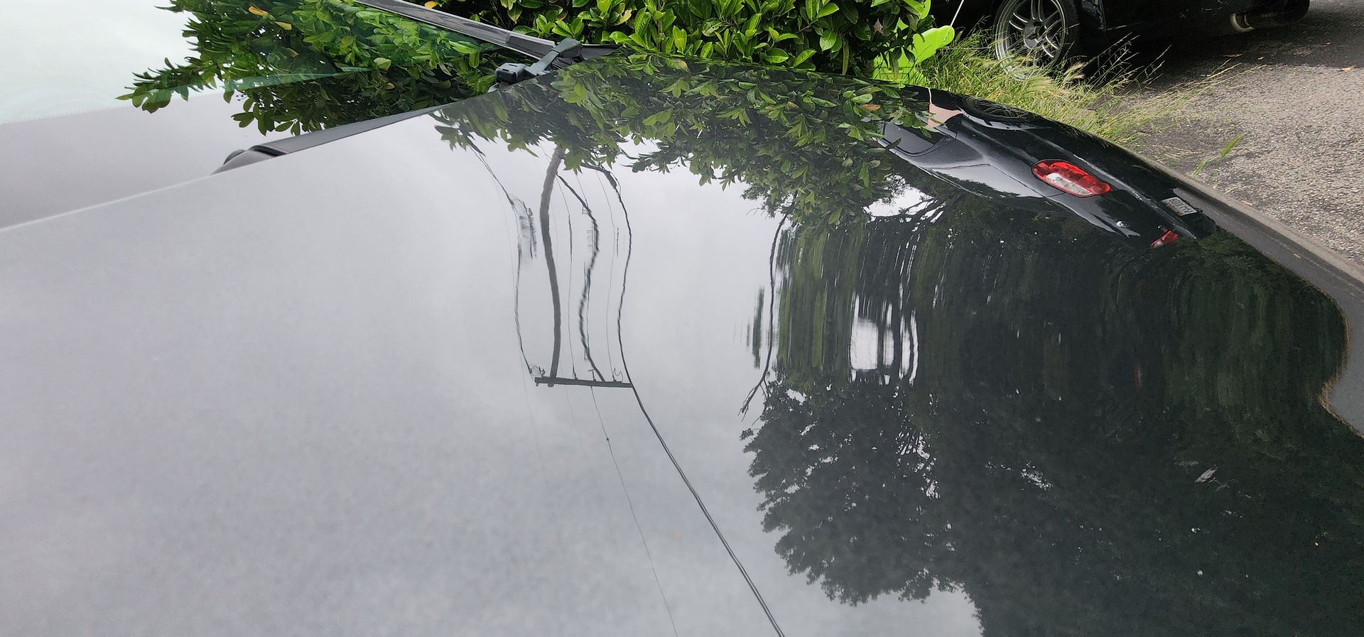 Dark car hood reflecting trees and sky, with green foliage overhanging above.