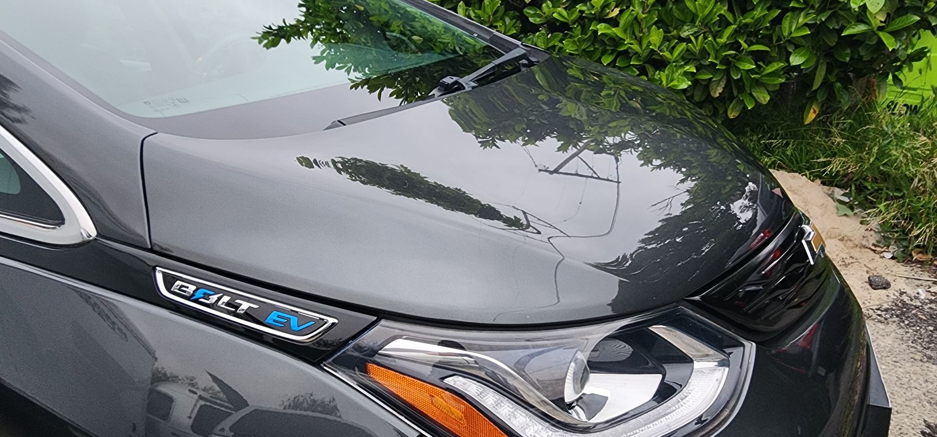Close-up of a gray car’s front hood, headlight, and badge near green bushes