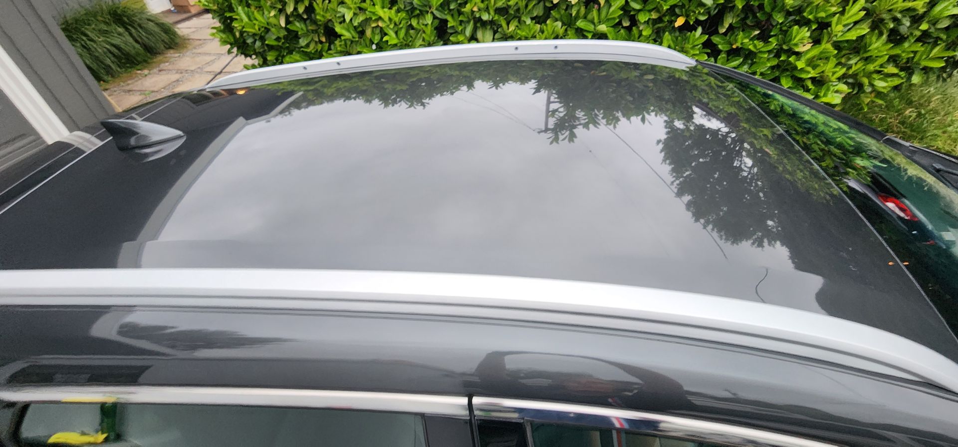 View of a gray car roof with reflections, bordered by greenery and a driveway edge