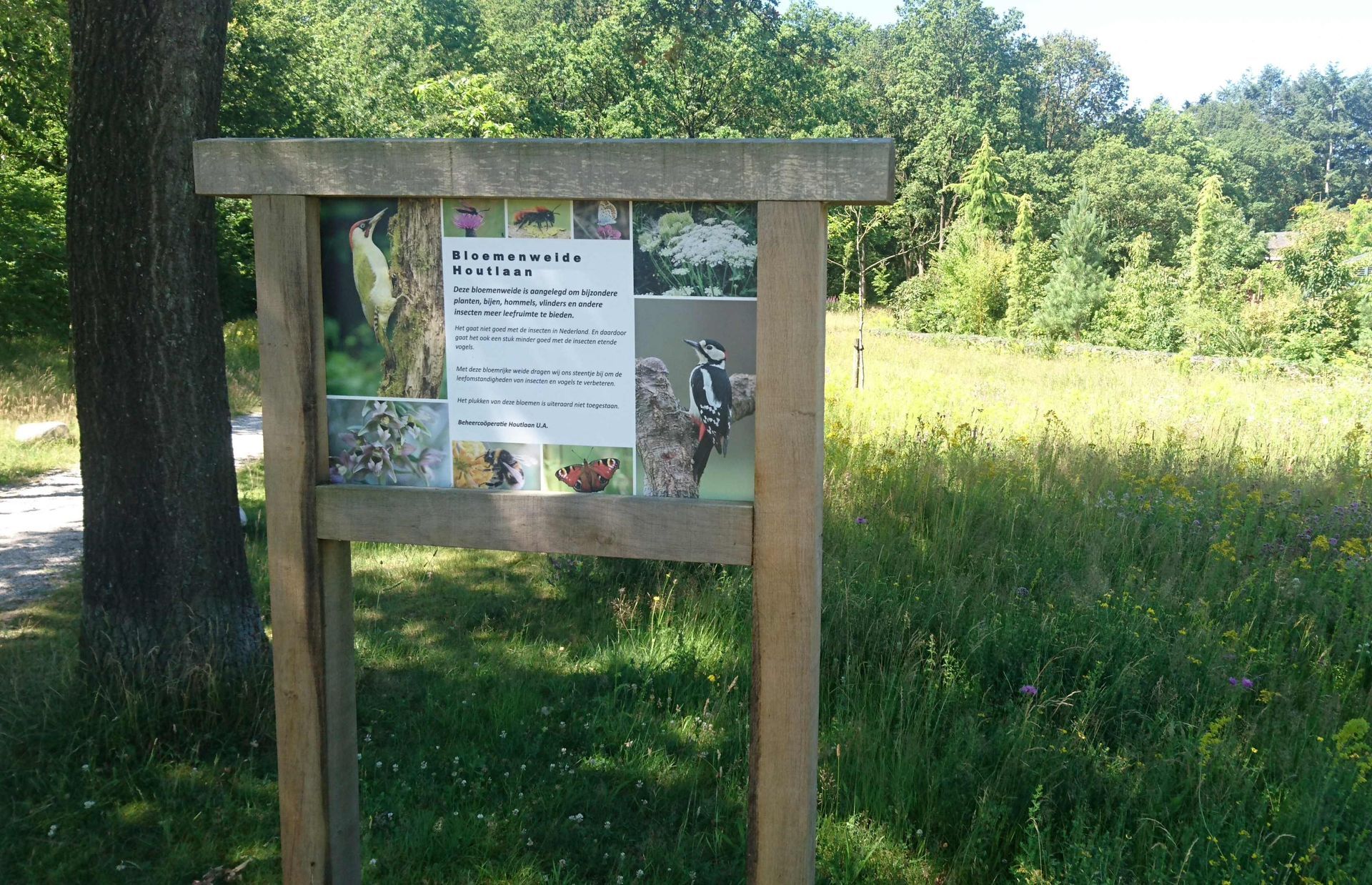 informatiebord Bloemenweide Houtlaan Assen