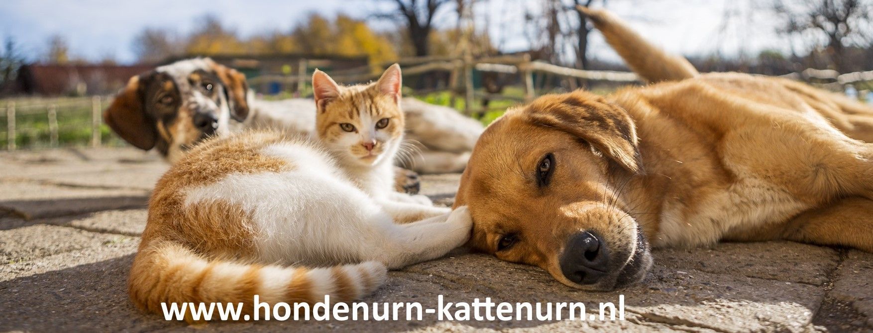 klik om naar de webwinkel te gaan unieke hand gemaakte hondenurnen / kattenurnen met foto