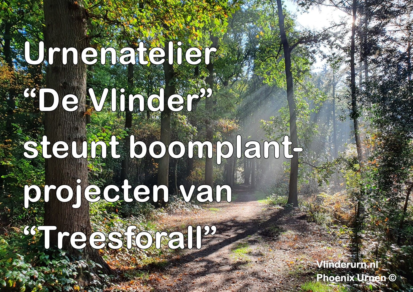 urnenatelier de vlinder (phoenix urnen) steunt boomplantprojecten van treesforall