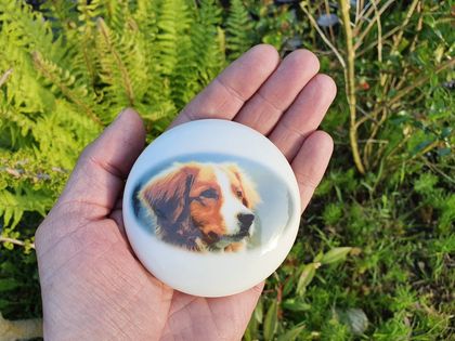 Mini hondenurn met uw eigen foto