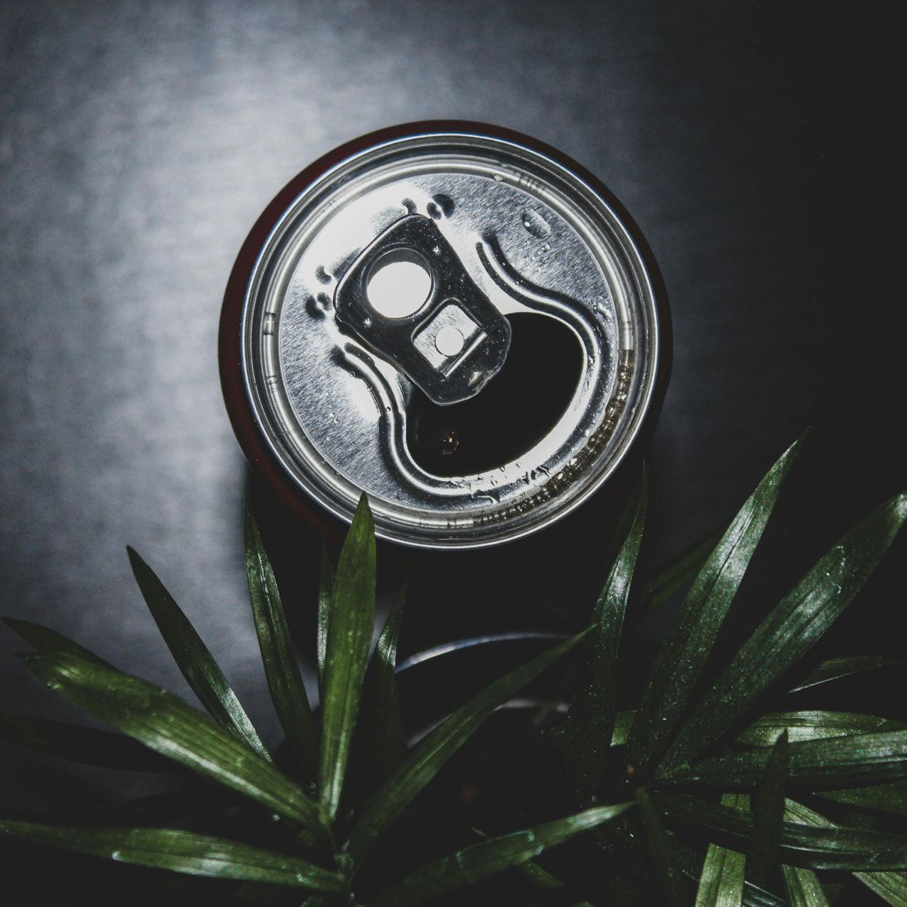 Top of can