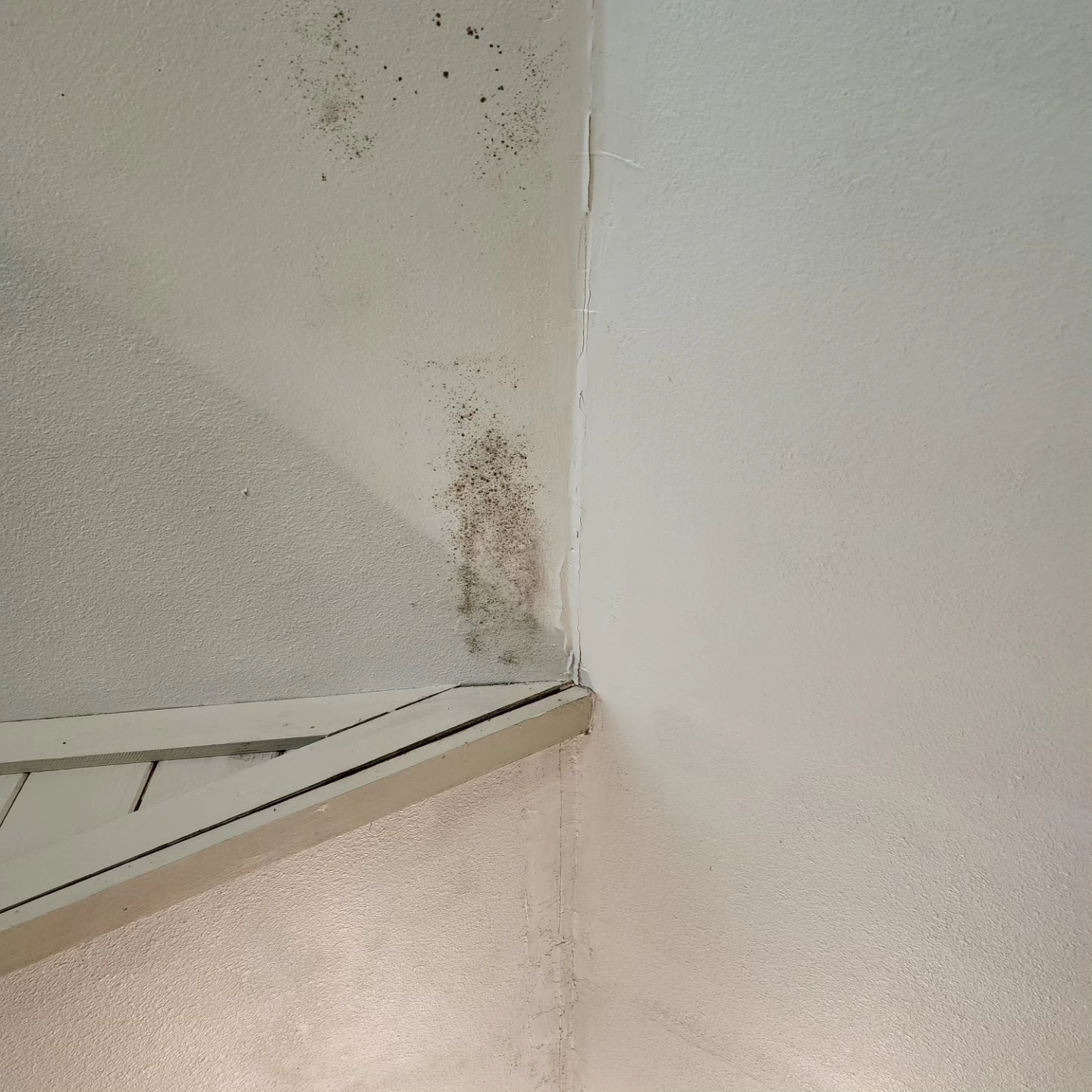 A white wall with a corner that has mold on it