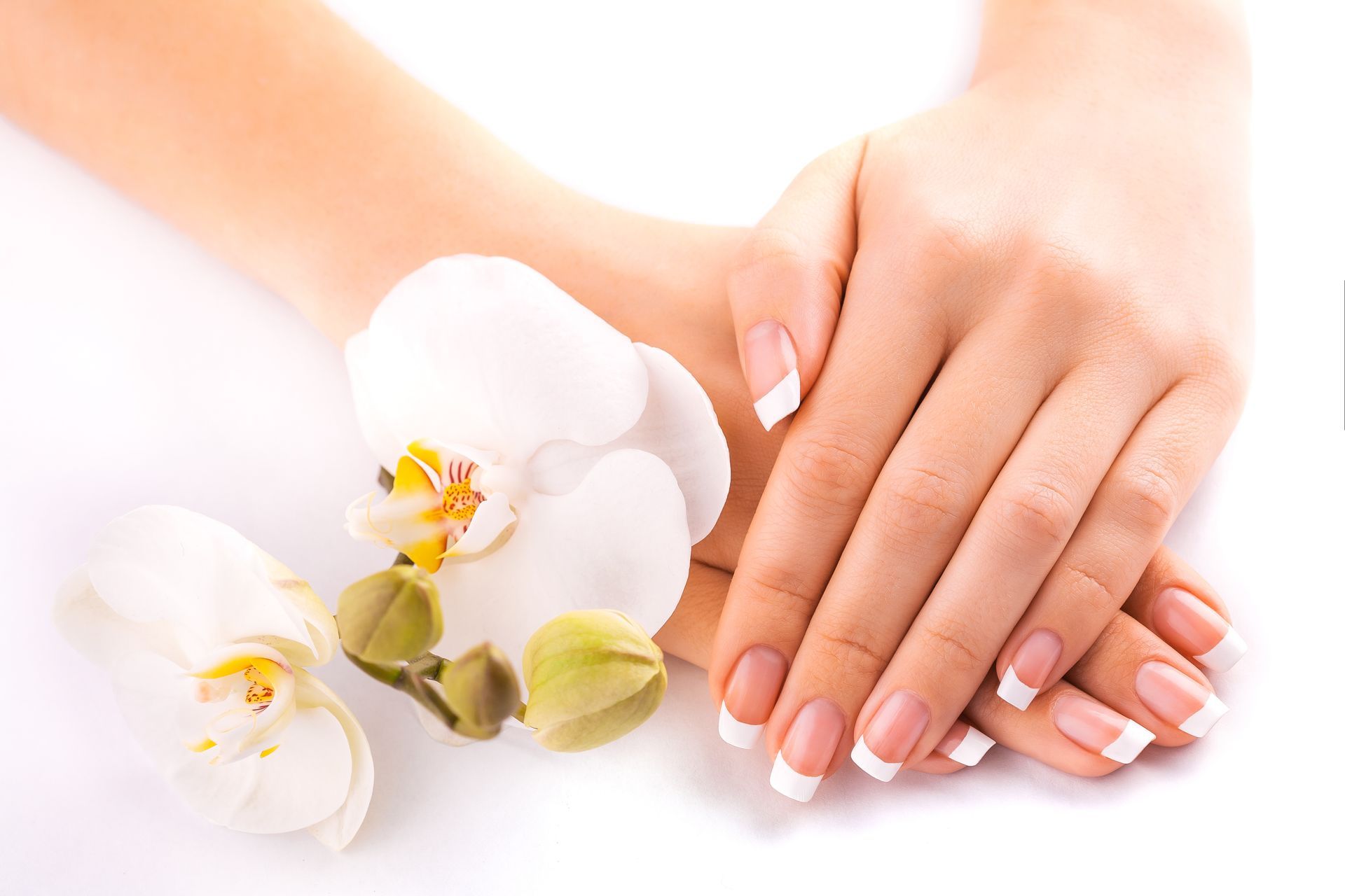 Hands with French manicure beside white orchid flowers on a bright white background