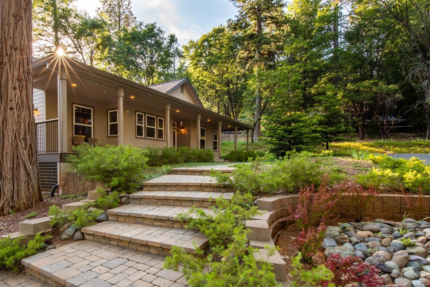 A house with a porch and steps leading up to it surrounded by trees.