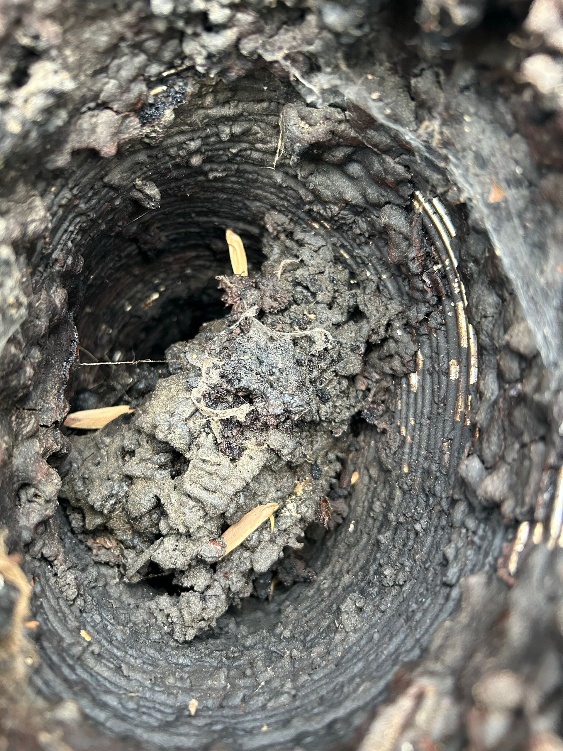 hot water liner before replacement