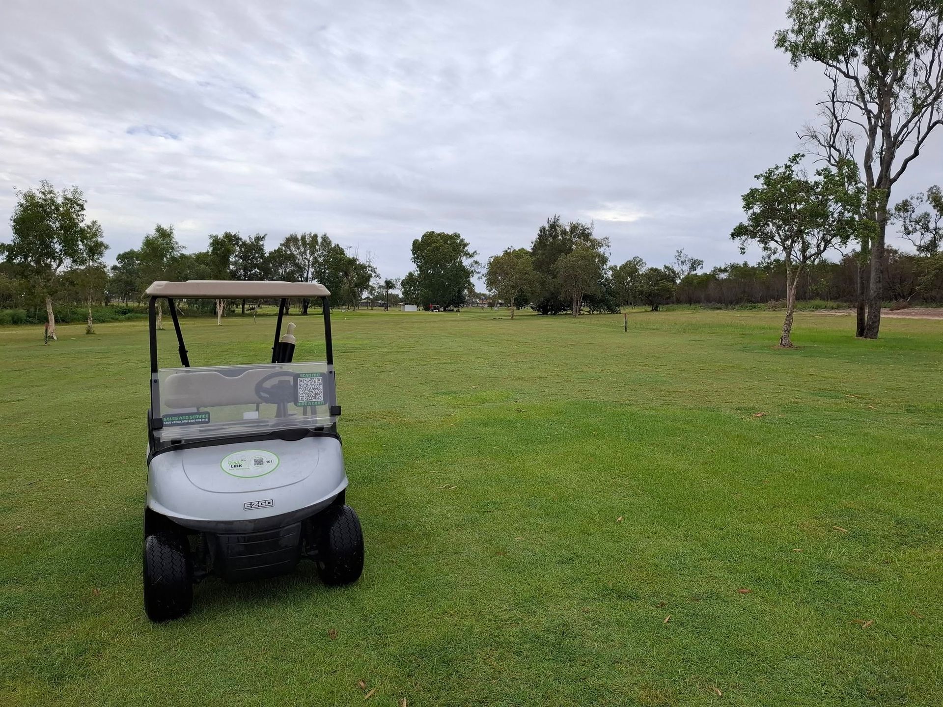 Golf Cart on a Grassy Field Under a Cloudy Sky With Scattered Trees — Buggies & Batteries in Hidden 