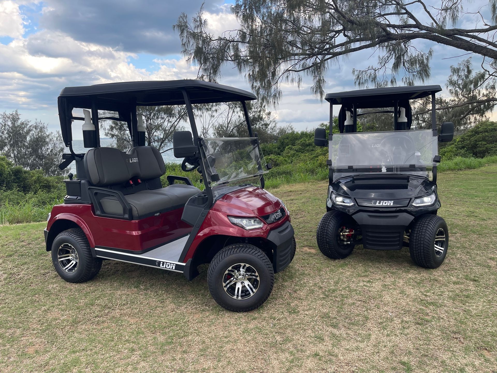 Two Golf Carts, Red and Black, Parked on Grass — Buggies & Batteries in Hidden Valley, QLD