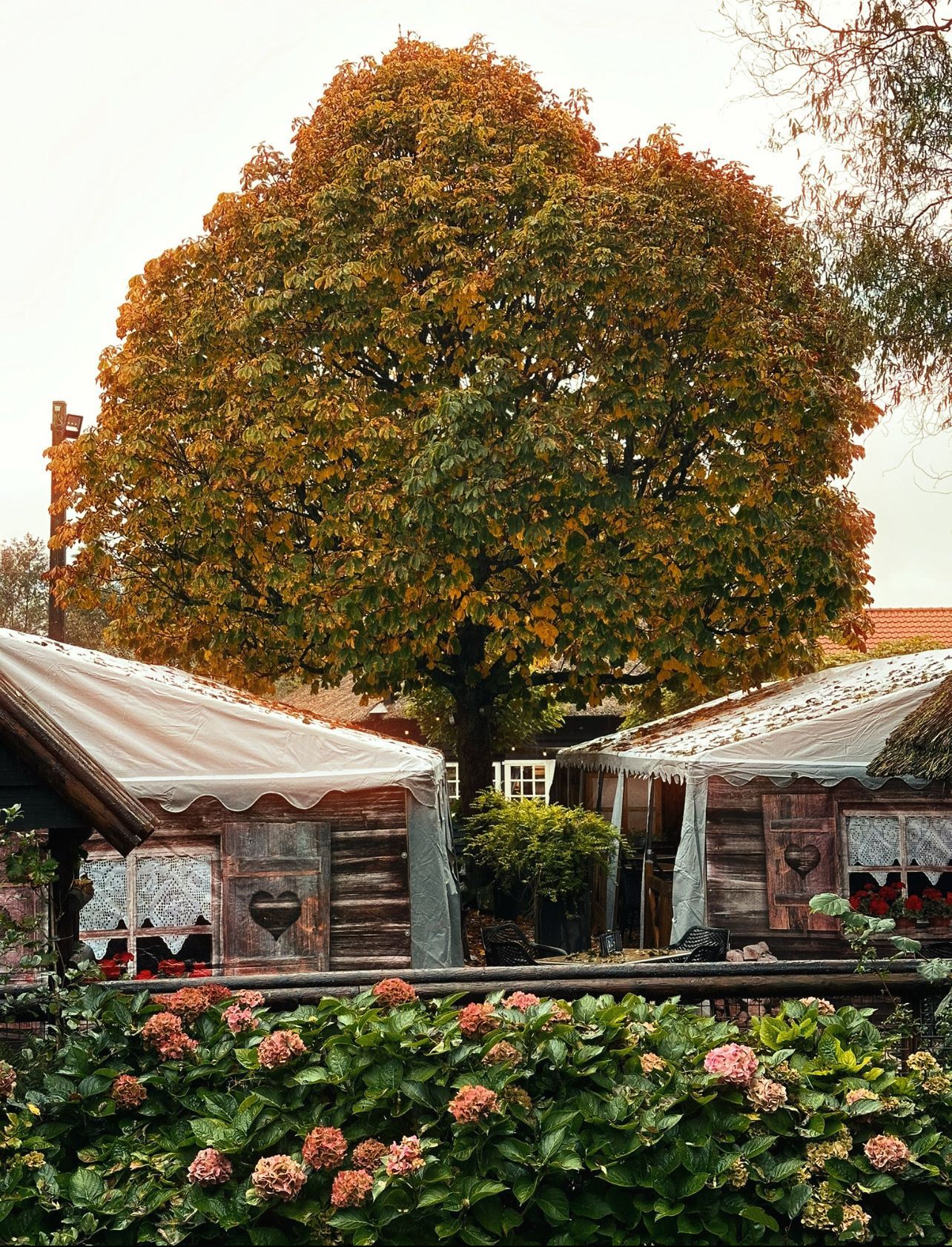Twee houten hutten met bloemmotieven onder een grote boom met kleurrijk blad.