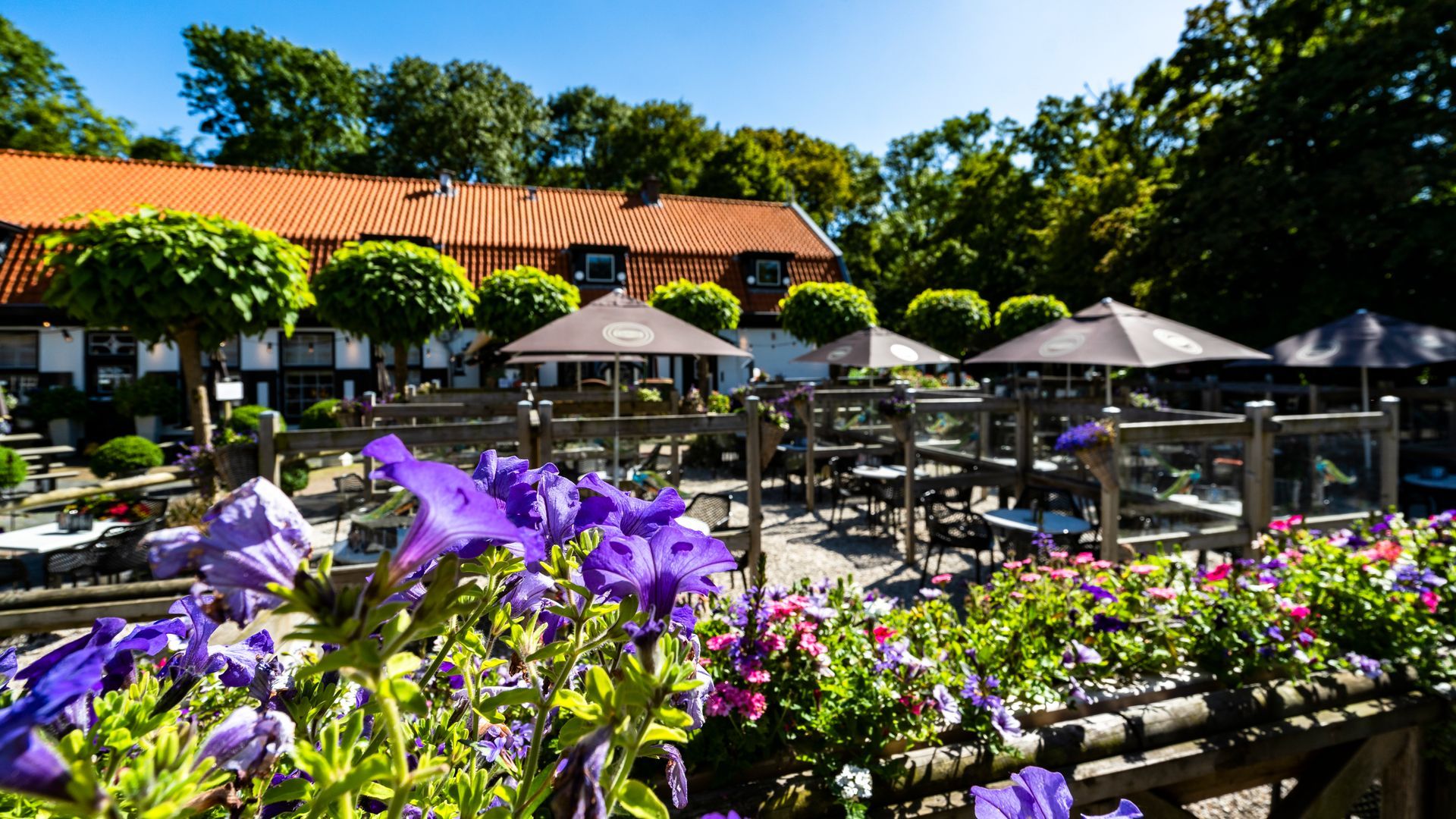 Een terras van een restaurant met tafels, parasols en bloembakken voor een gebouw met een rood dak.