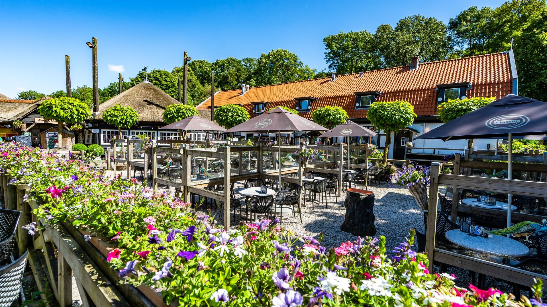 Buitenrestaurant met bloemborders, een rieten dak en tafels met parasols.
