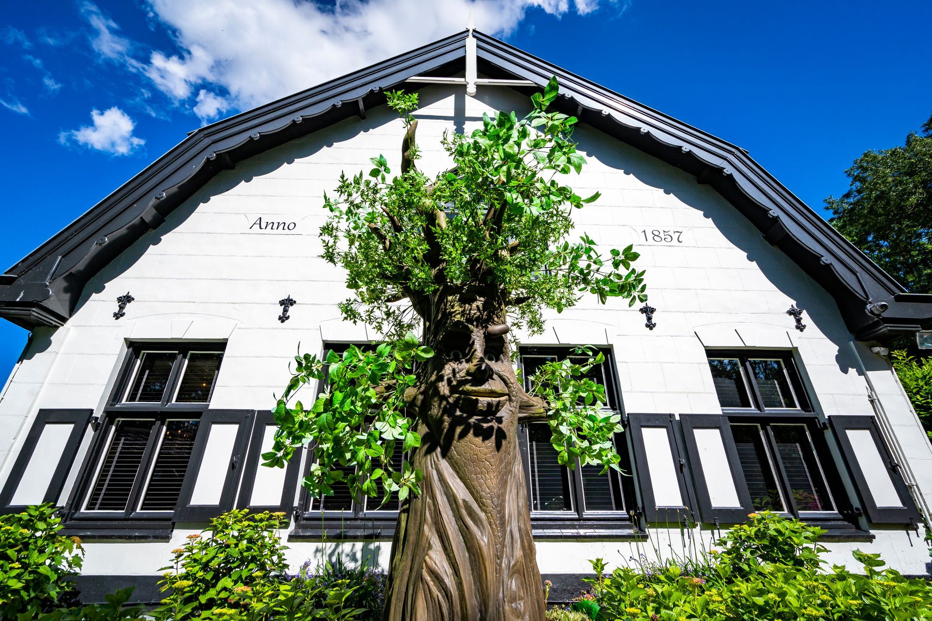 Wit gebouw met zwarte kozijnen en luiken, deels aan het zicht onttrokken door een grote boom. Blauwe lucht op de achtergrond.