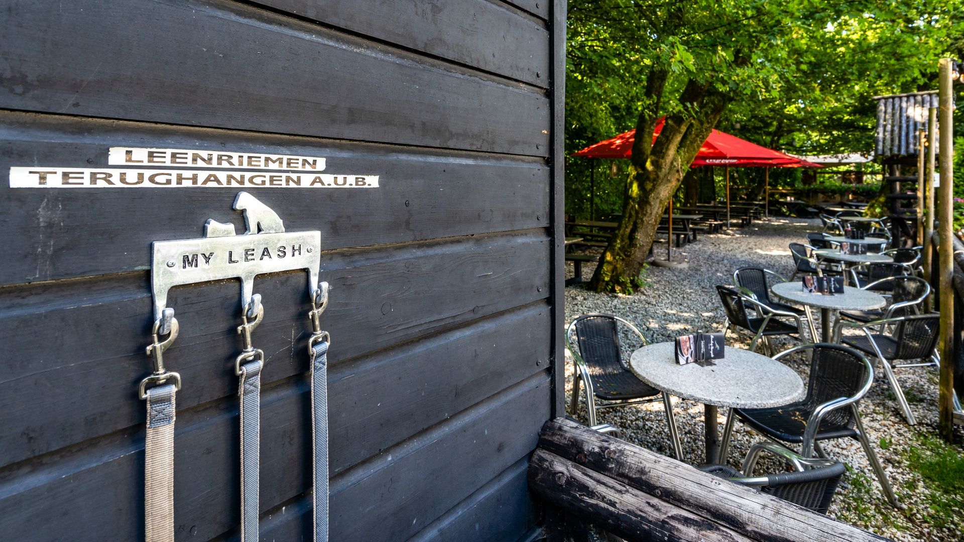 Hondenriemhaken aan een donkere houten muur. Een terras met tafels, stoelen en een rode parasol op de achtergrond.