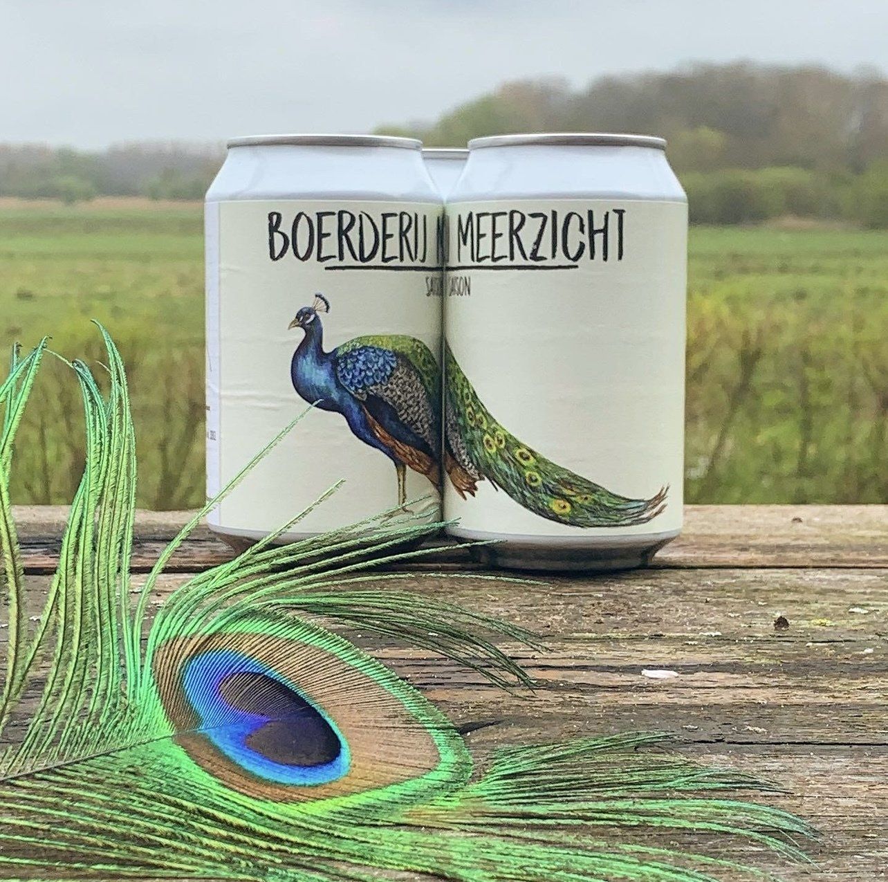 Vier bierblikjes met pauwenetiket staan ​​op een houten plank met pauwenveren, met een veld op de achtergrond.