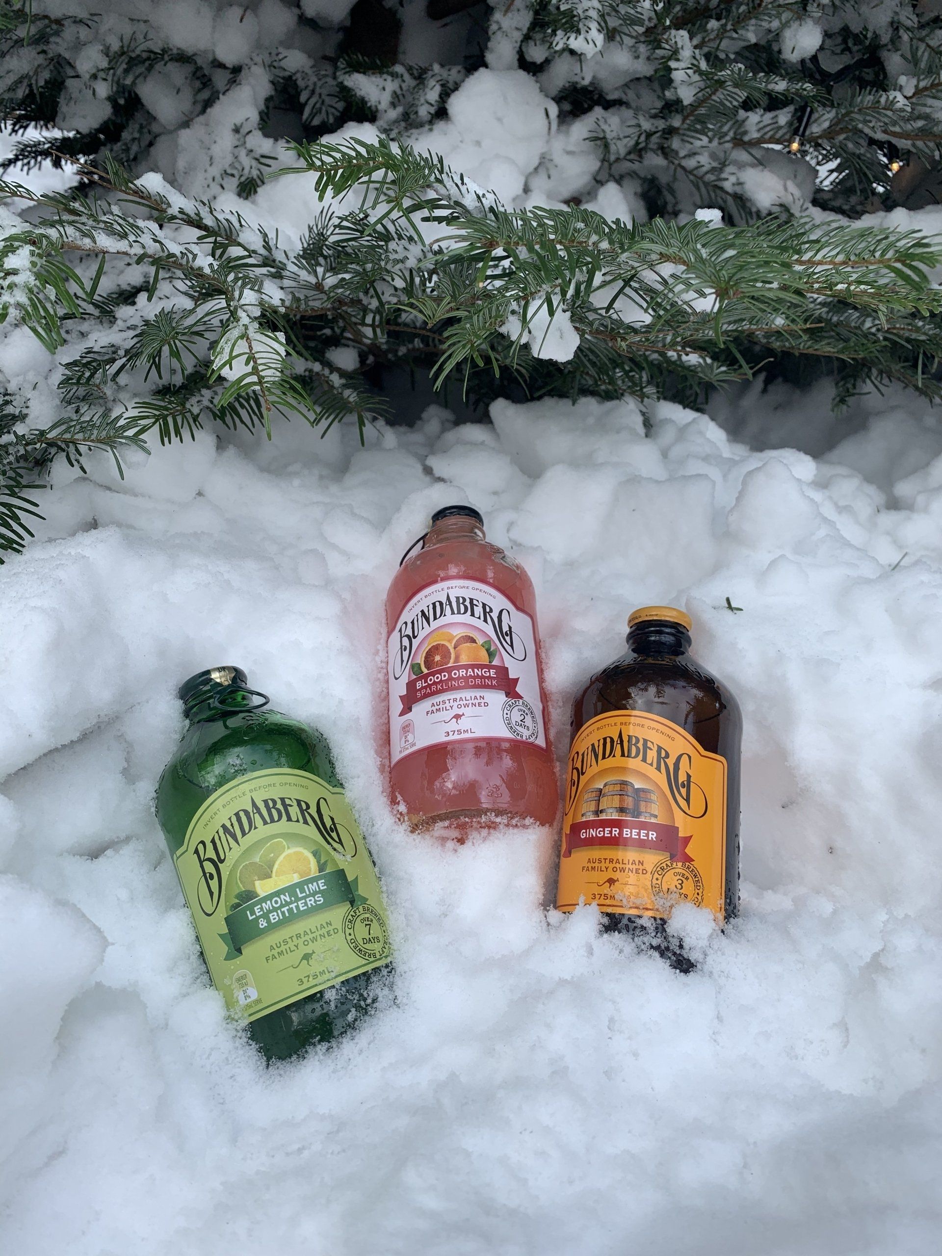 Drie flessen kombucha in sneeuw: groen, roze en bruin, met etiketten.