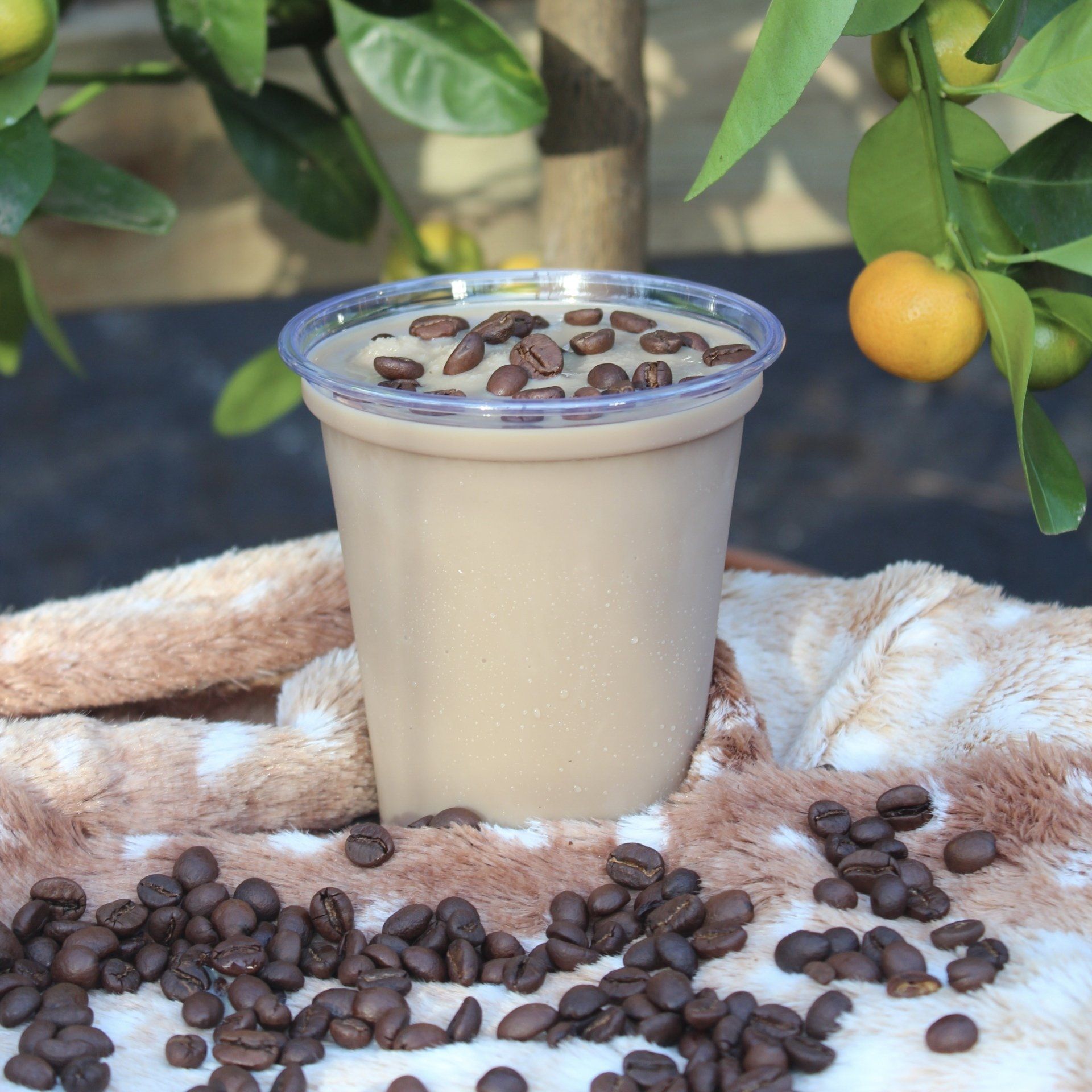 Koffiesmoothie in een plastic beker, getopt met koffiebonen, op een pluizig dekentje vlakbij koffiebonen en een citrusboom.