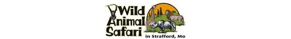 Wild Animal Safari