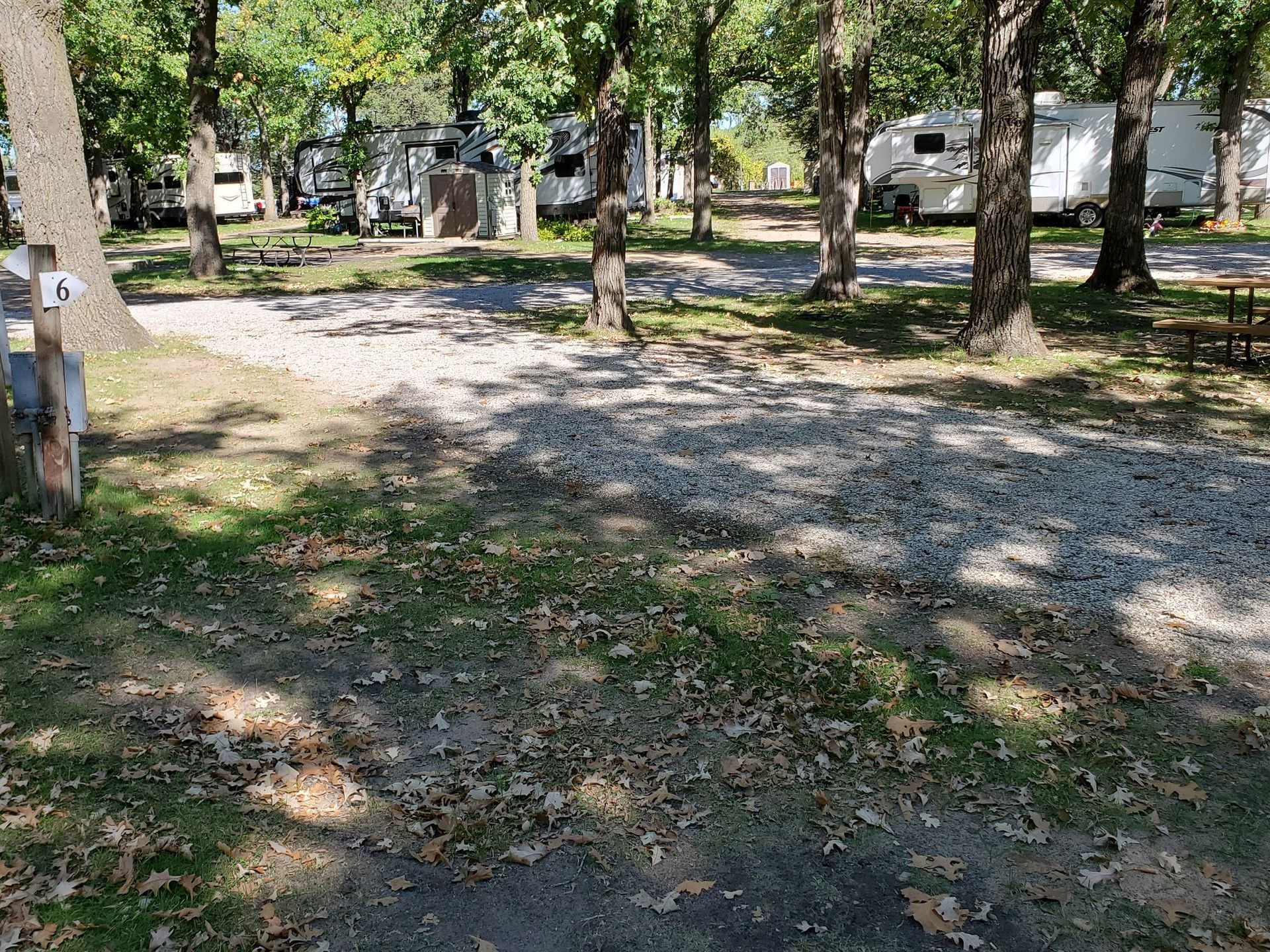 A campground with a lot of trees and a lot of leaves on the ground.